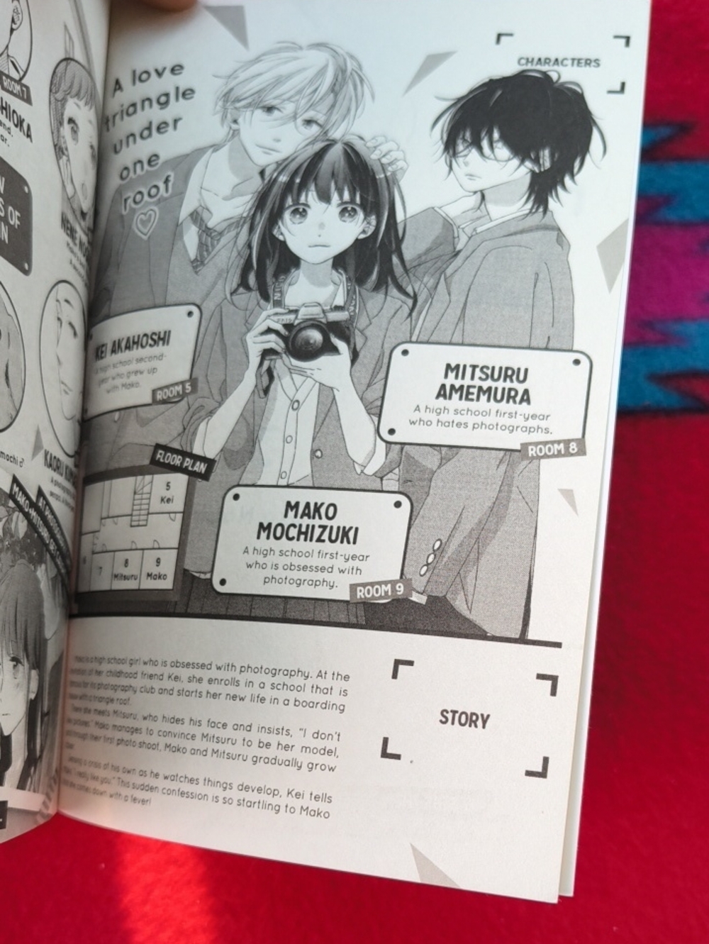 Love In Focus 3 - Yoko Nogiri (English) Paperback Book - Picture 5 of 11